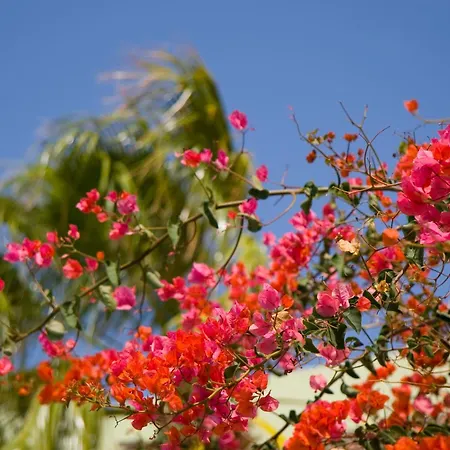 Lejlighedshotel Esquinzo Y Monte Del Mar Playa De Esquinzo